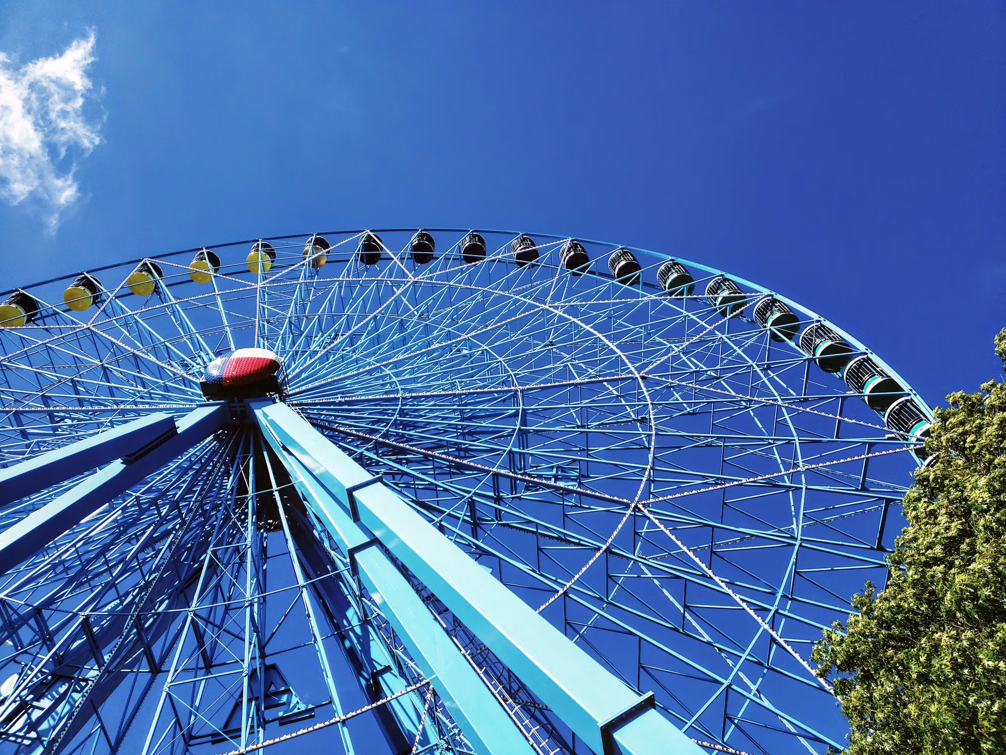 Exploring the Wonders of Amusement: A Guide to Exciting Experiences